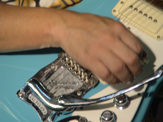 rojiyokolive